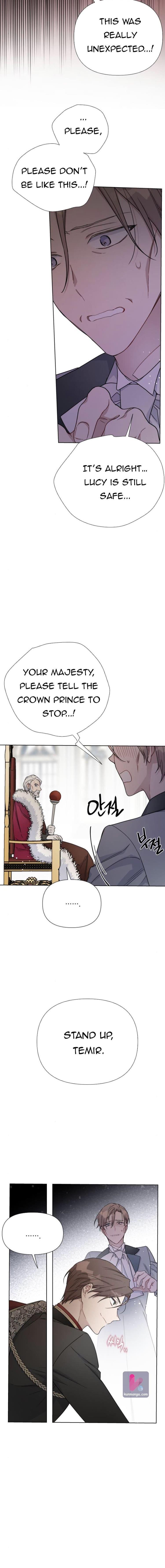 Page 17 of Chapter 41