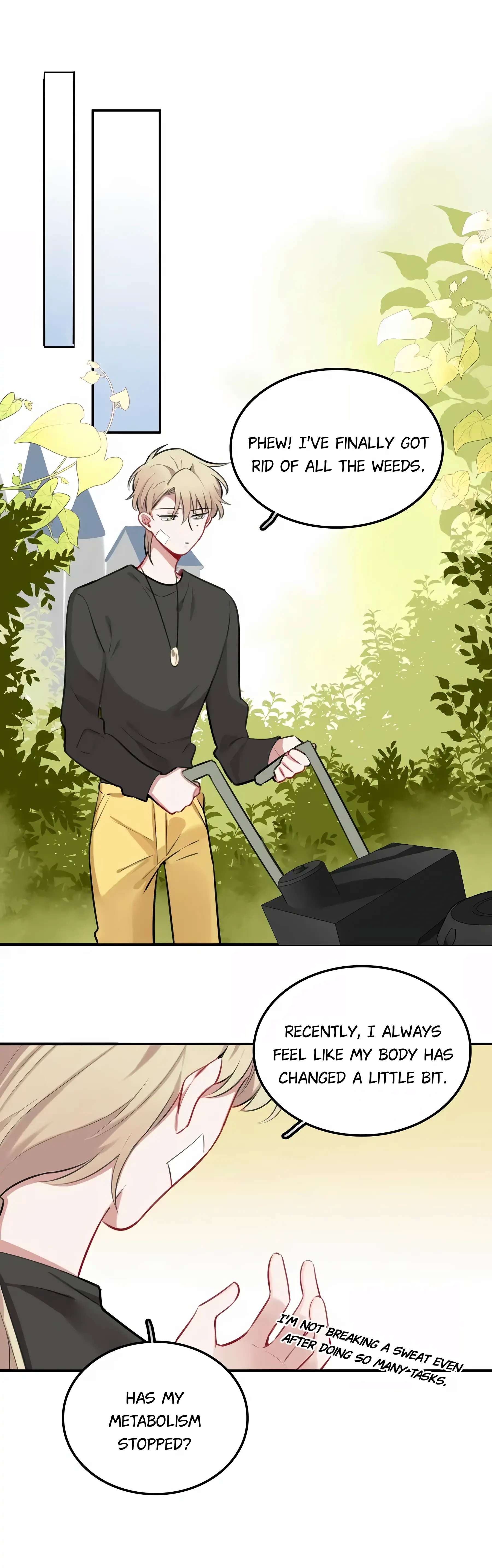 Page 4 of Chapter 21