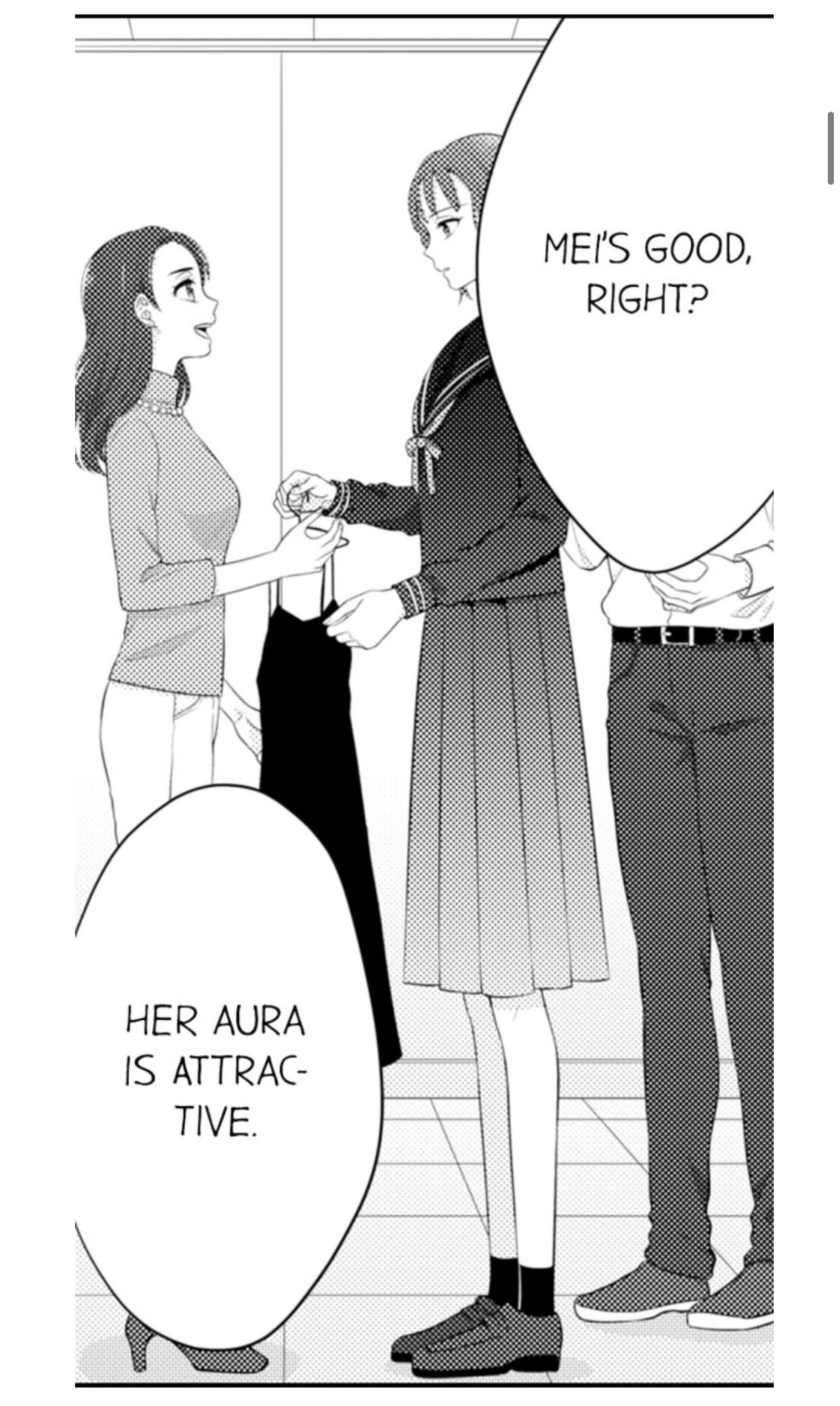 Page 4 of Chapter 95
