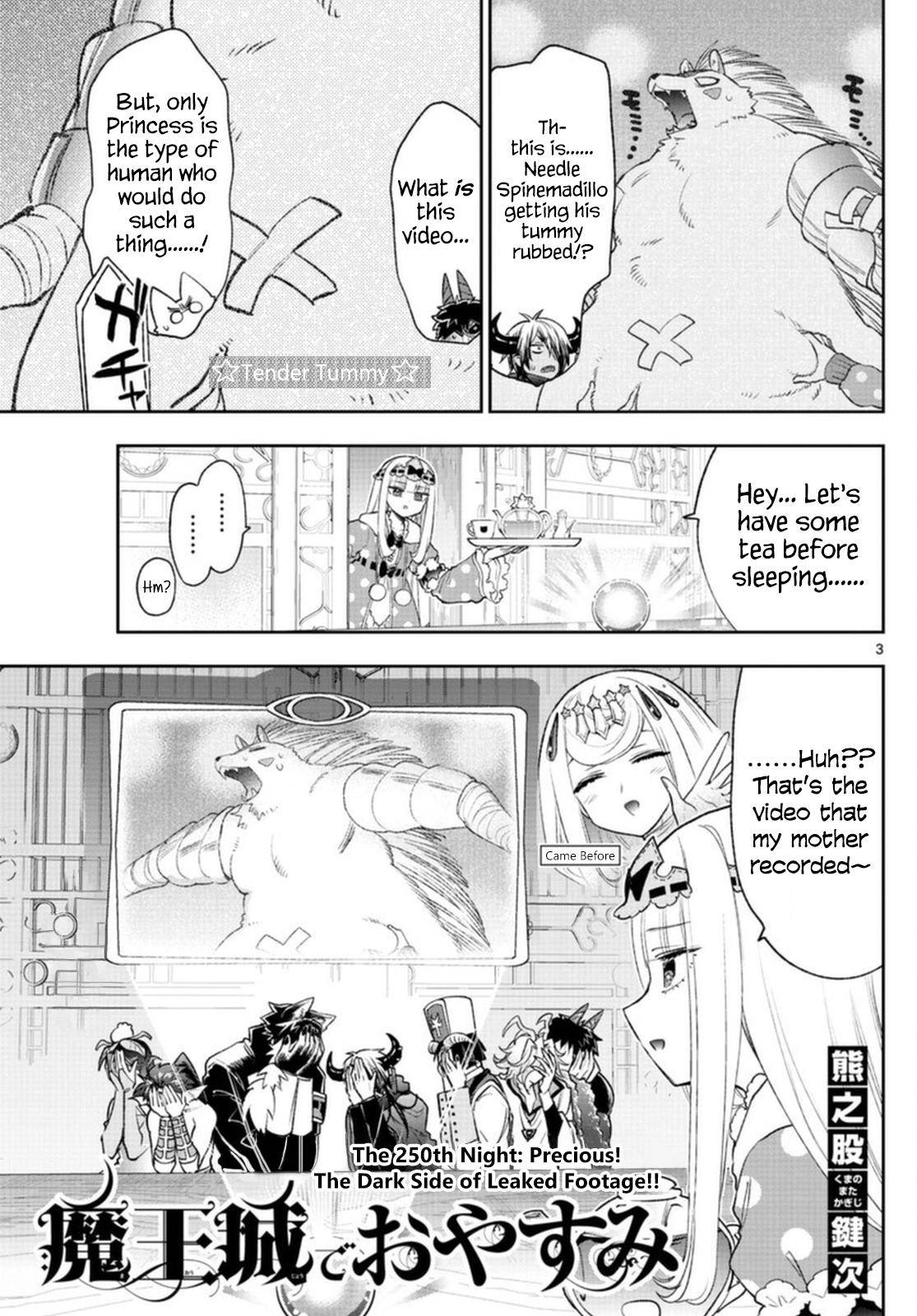Page 3 of Chapter 250