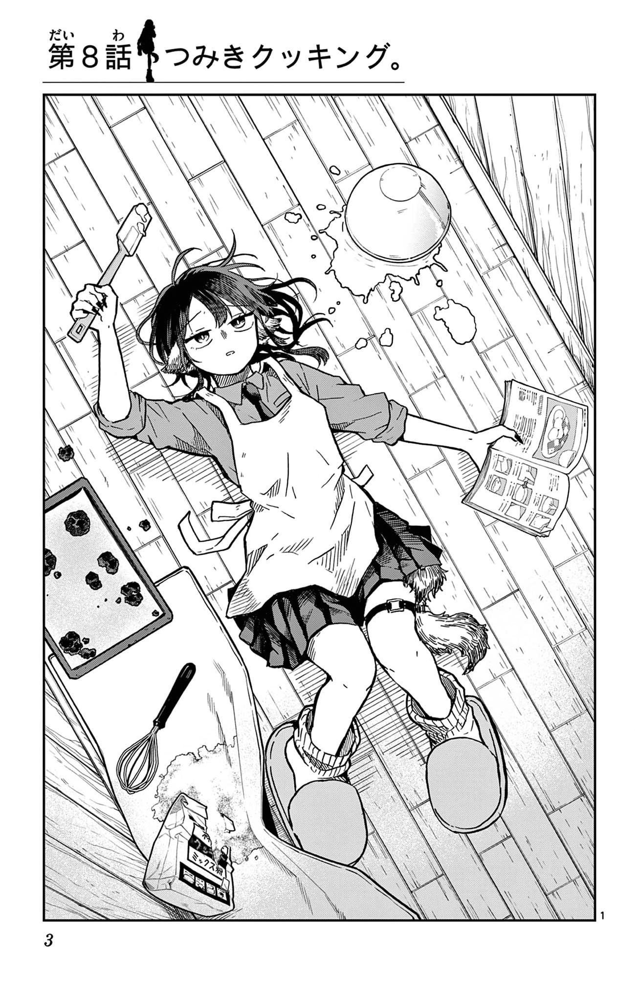 Page 3 of Chapter 16.5
