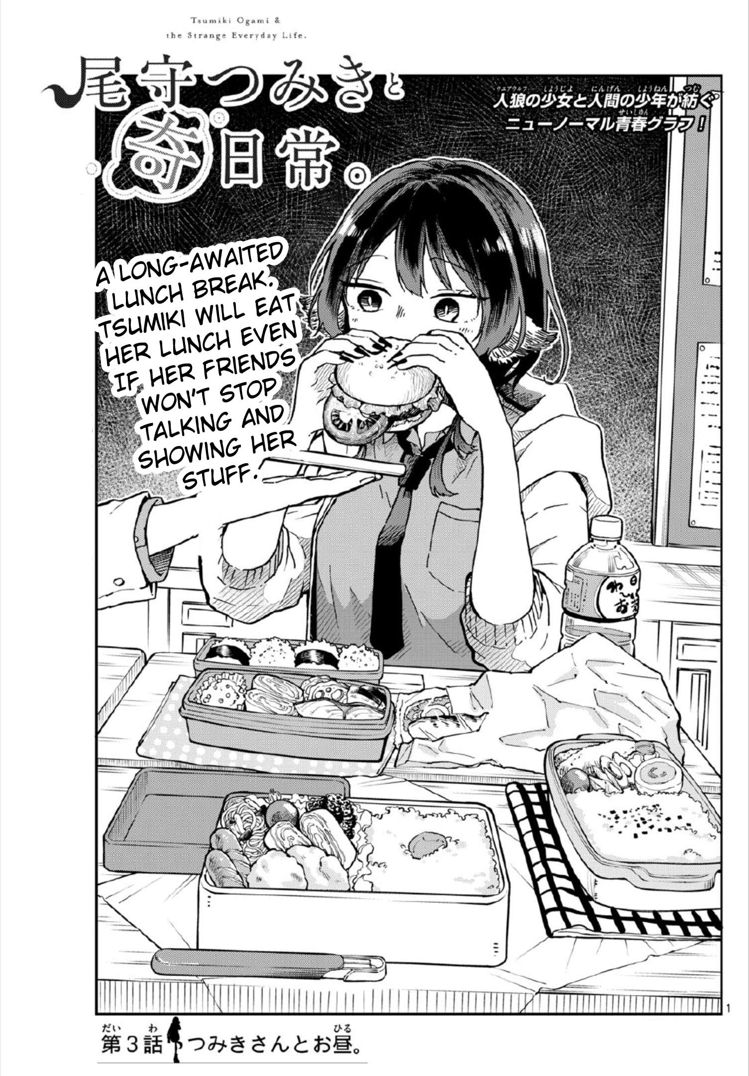 Page 1 of Chapter 3