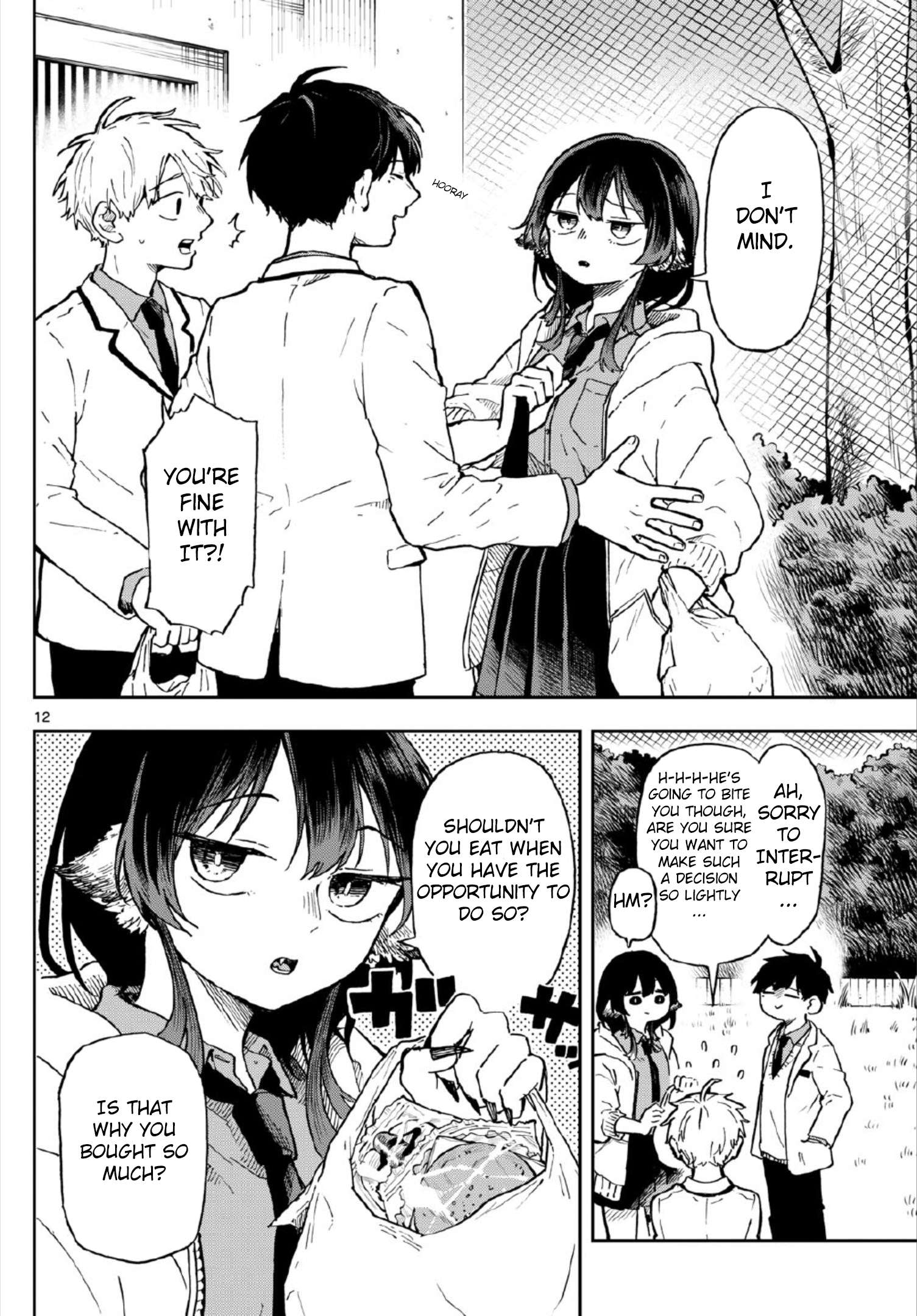 Page 12 of Chapter 3