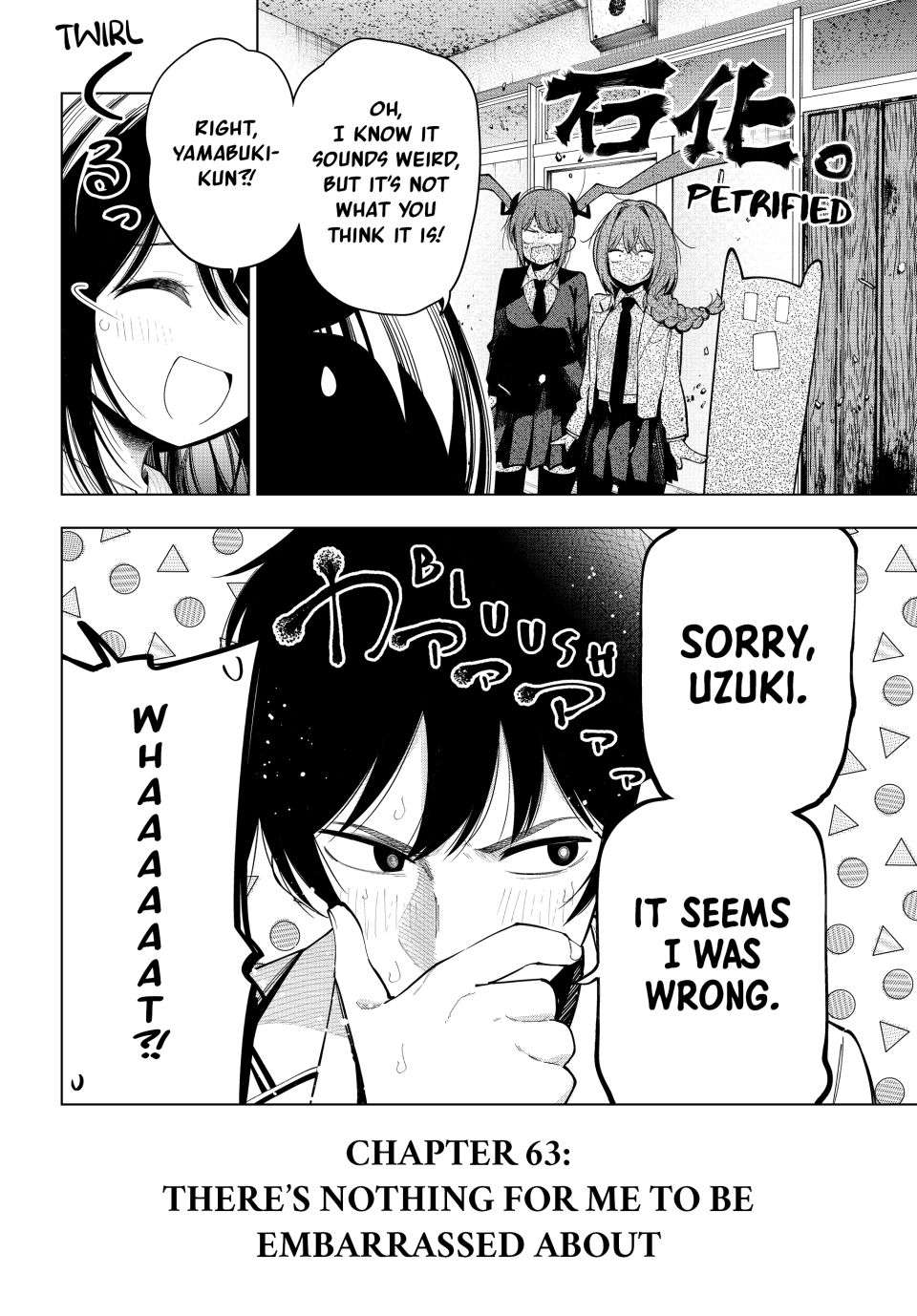 Page 20 of Chapter 63