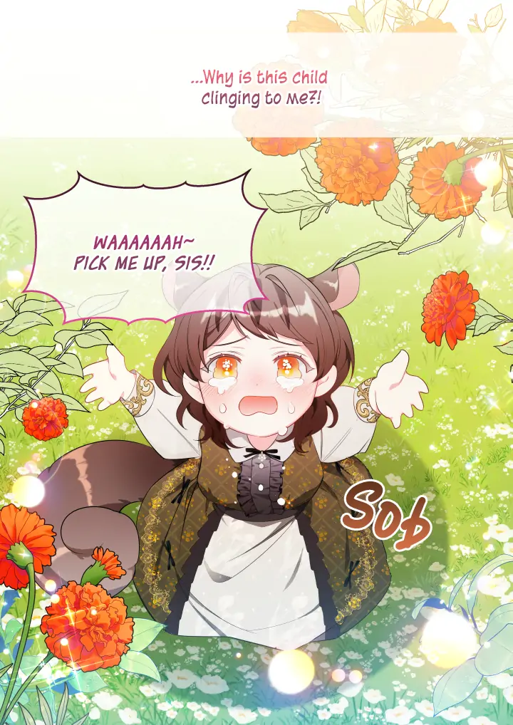 Page 21 of Chapter 0