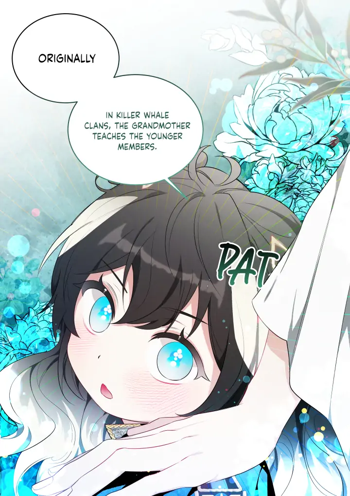 Page 27 of Chapter 0