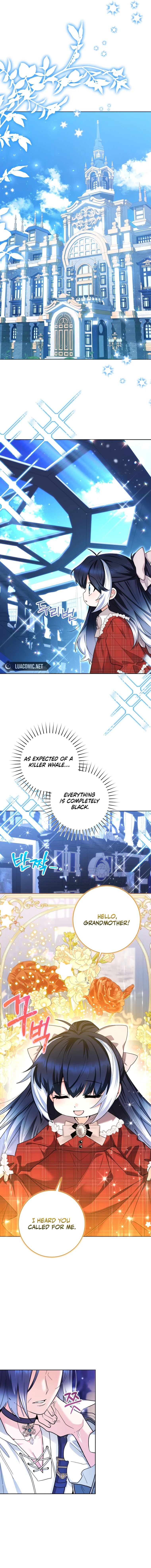 Page 6 of Chapter 29