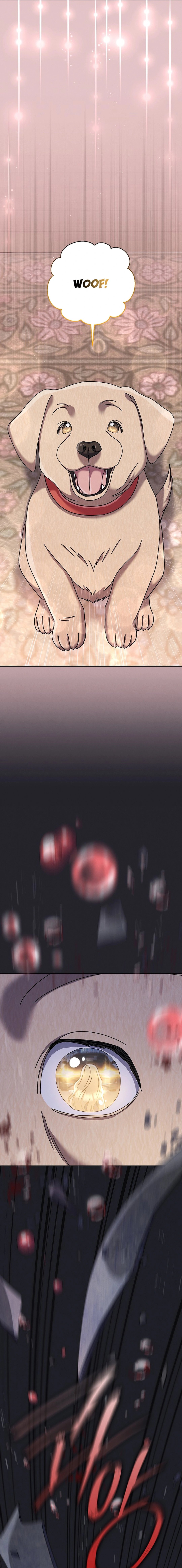 Page 12 of Chapter 30