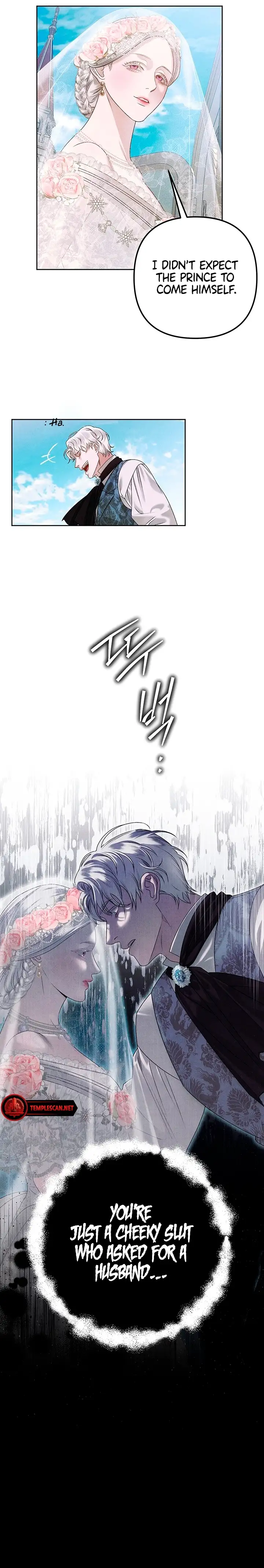 Page 12 of Chapter 0.5