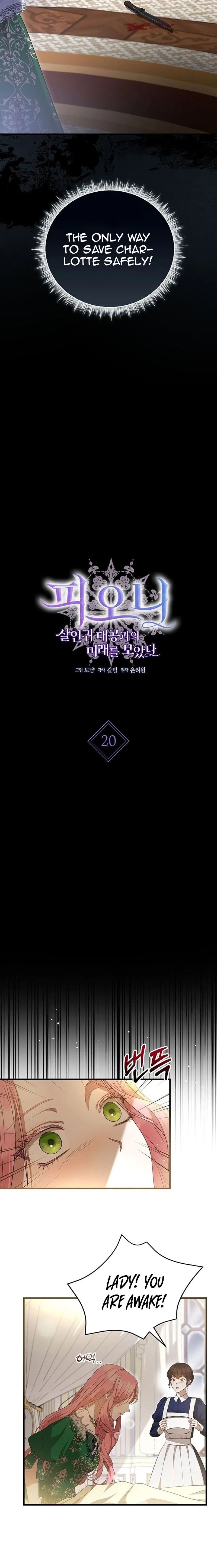 Page 4 of Chapter 20