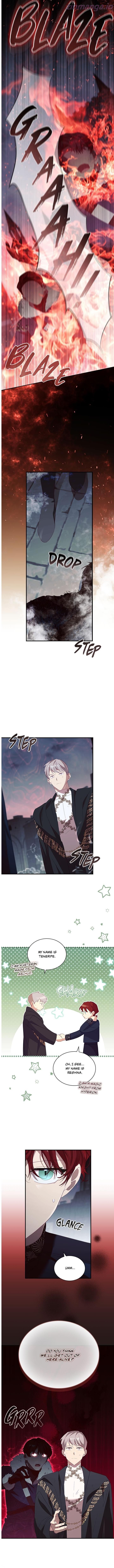Page 4 of Chapter 163