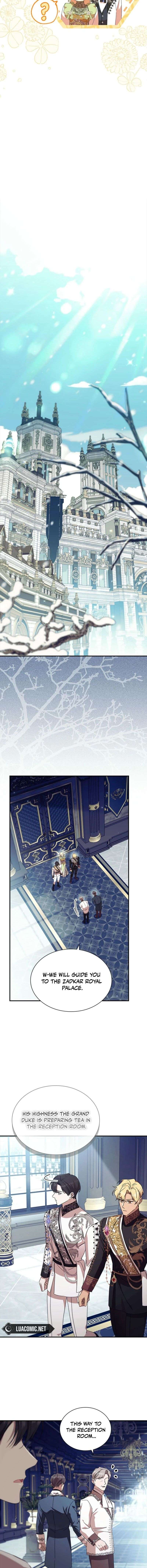 Page 17 of Chapter 213