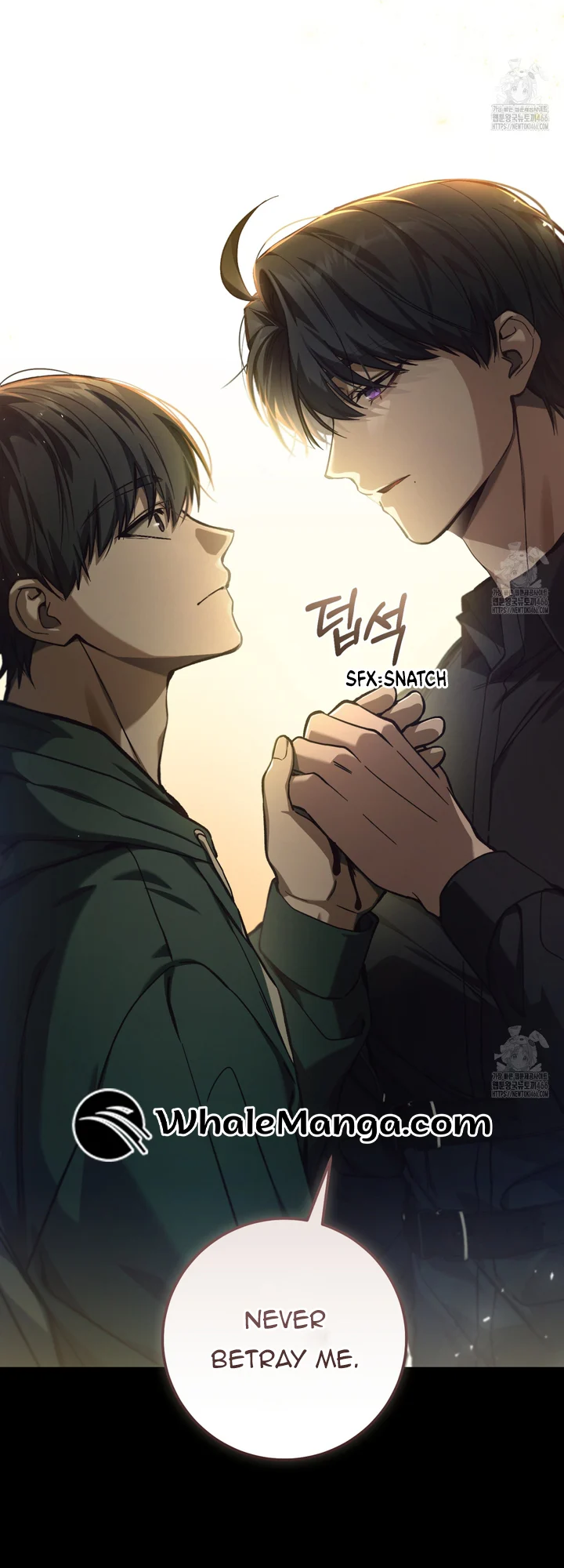 Page 12 of Chapter 16