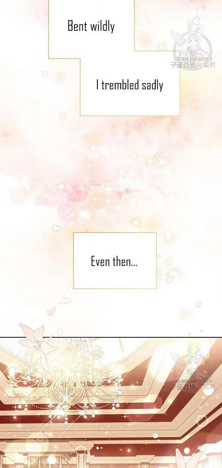 Page 19 of Chapter 12