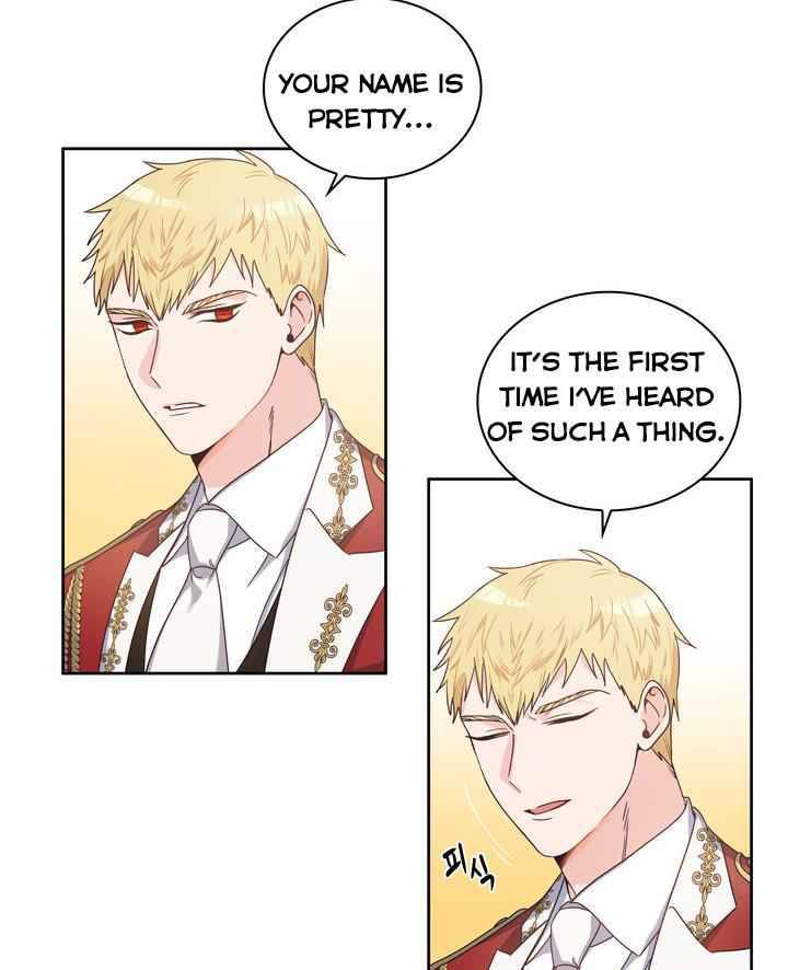 Page 14 of Chapter 3