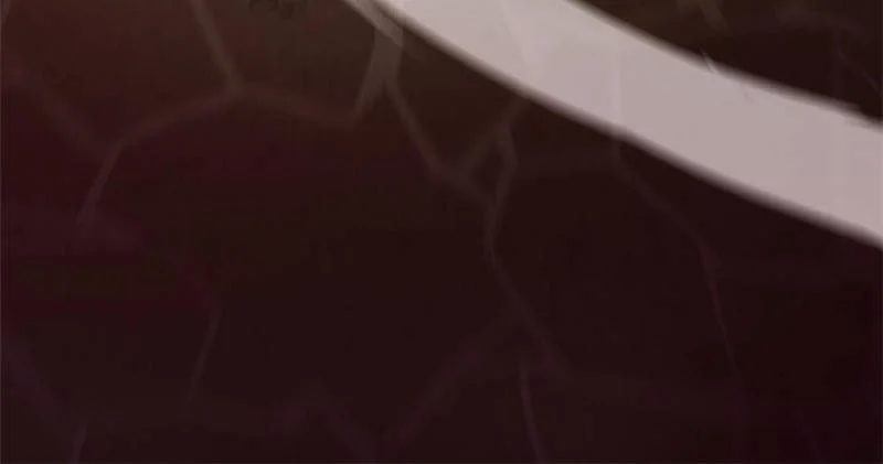 Page 19 of Chapter 211