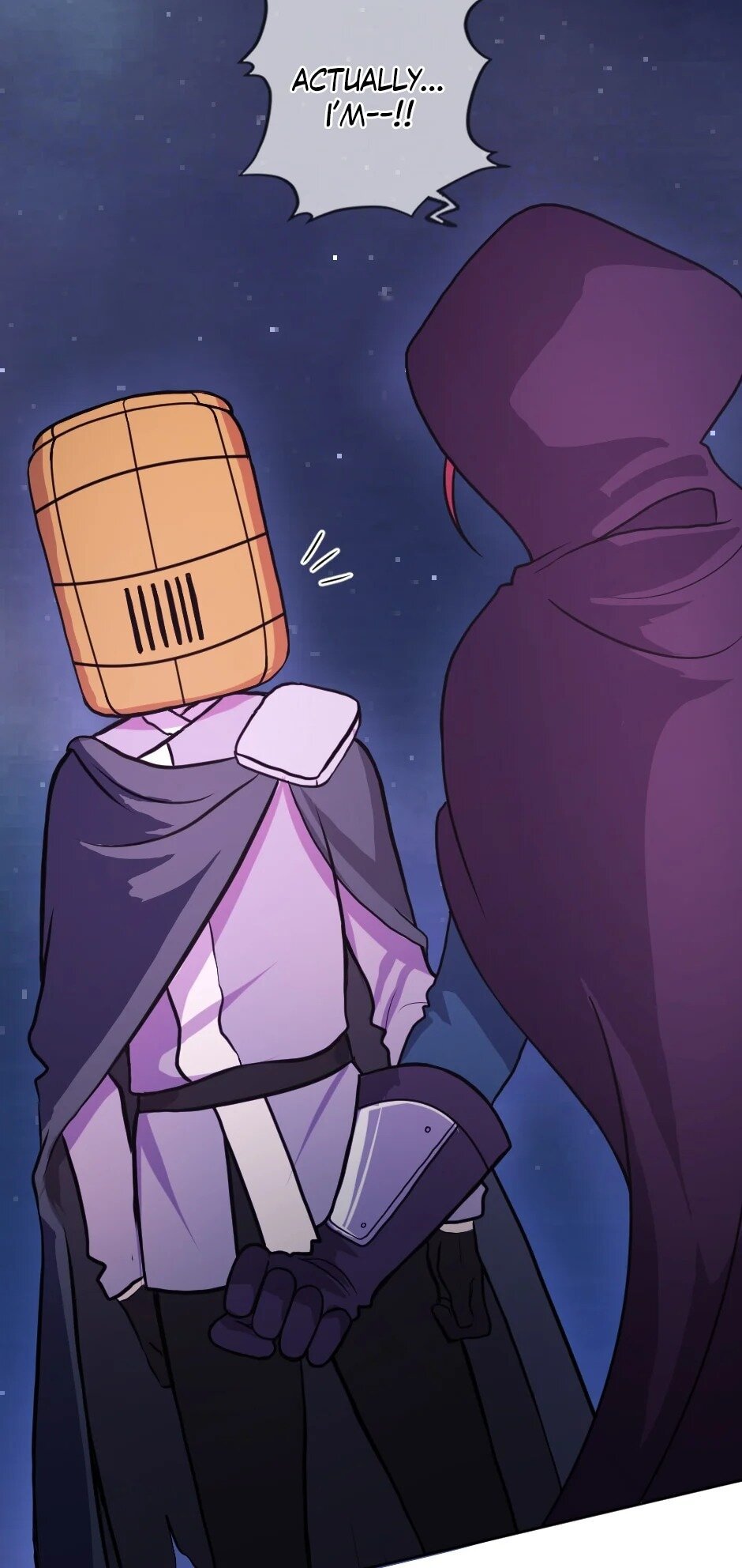 Page 17 of Chapter 13