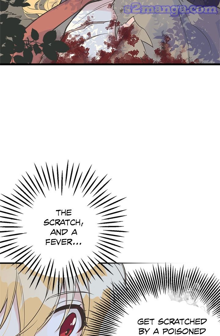 Page 5 of Chapter 12
