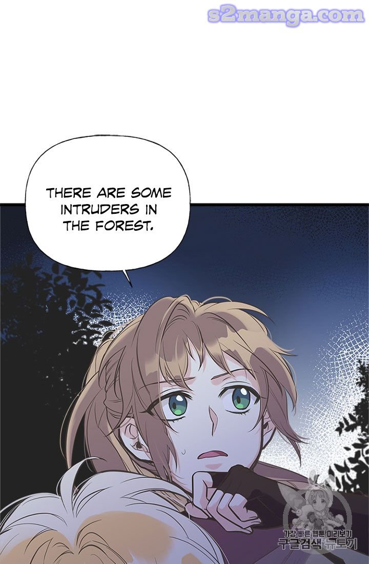 Page 11 of Chapter 15