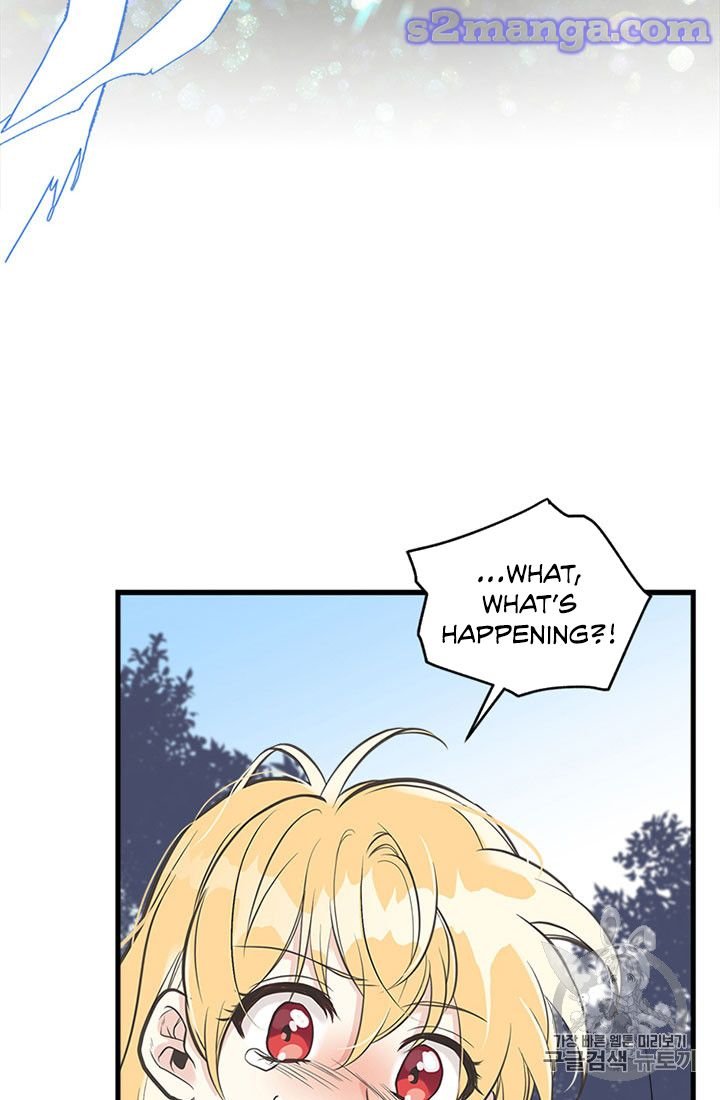 Page 47 of Chapter 16