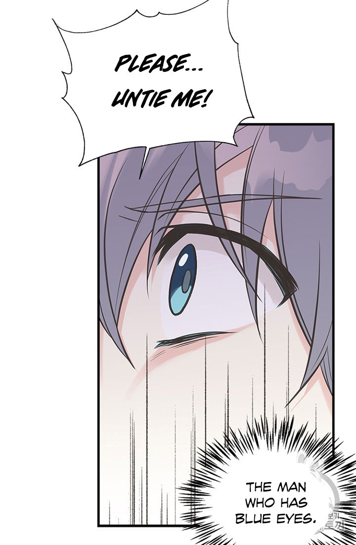 Page 5 of Chapter 19