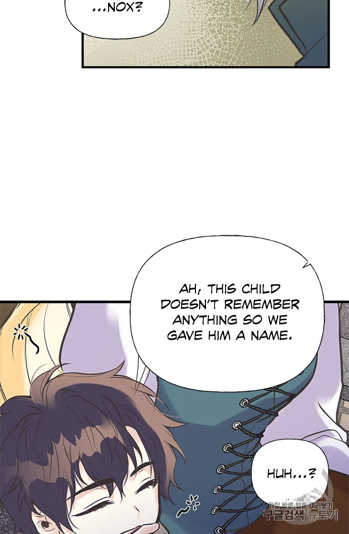 Page 47 of Chapter 19