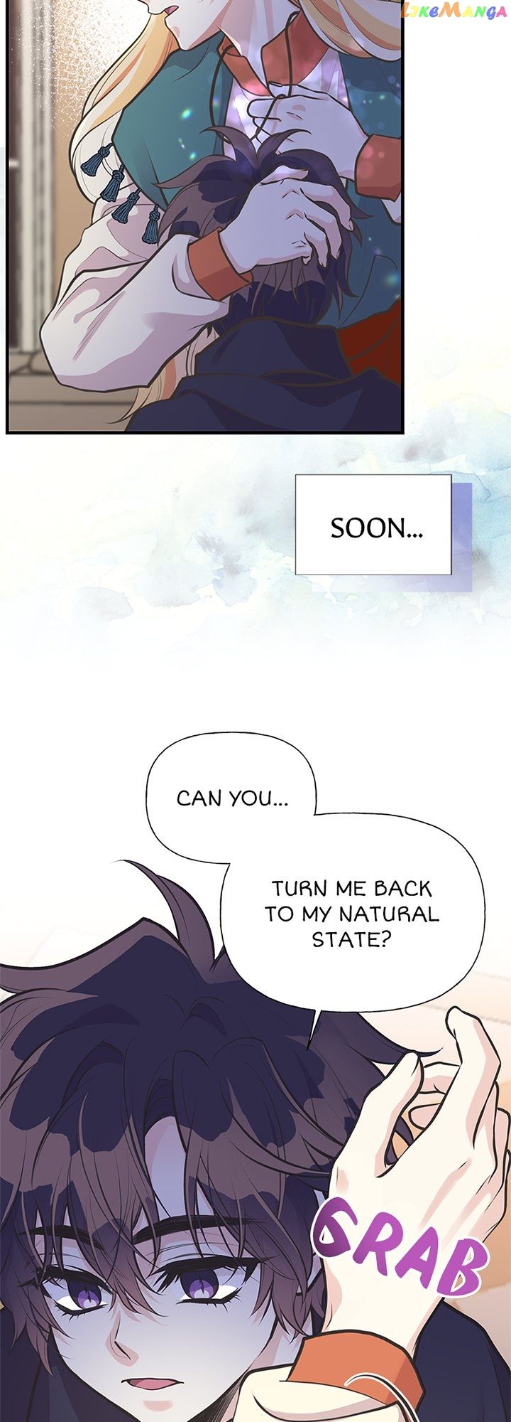 Page 8 of Chapter 63