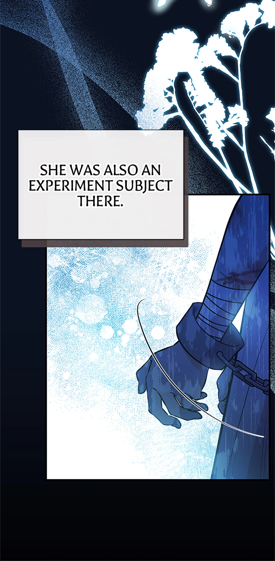 Page 15 of Chapter 90