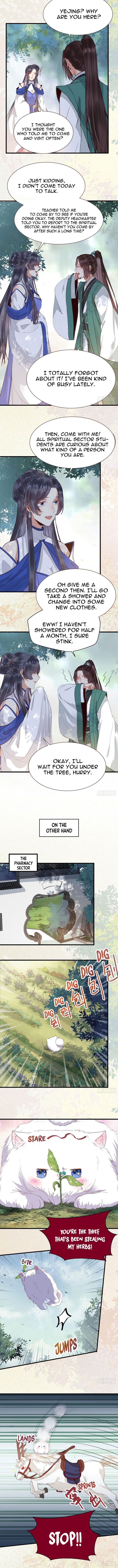 Page 3 of Chapter 243
