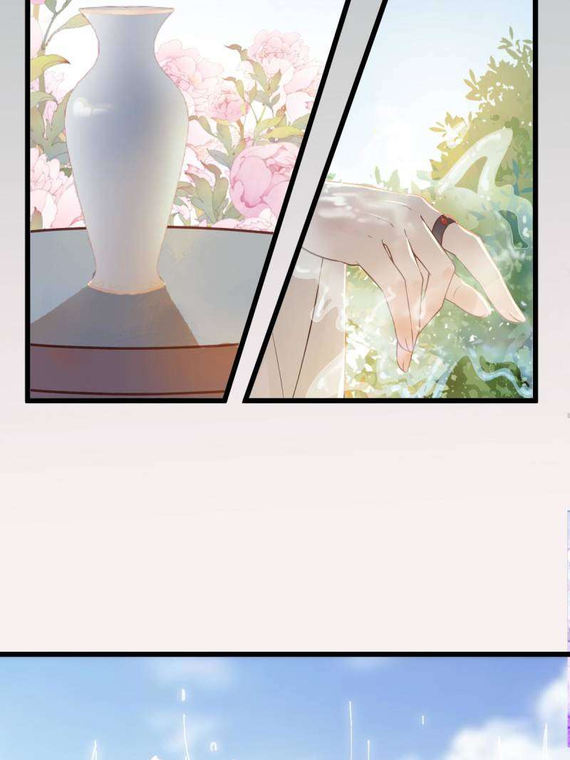 Page 41 of Chapter 455