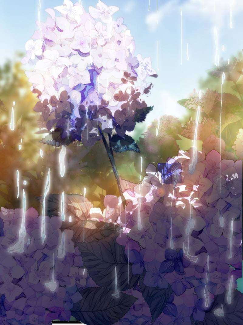 Page 42 of Chapter 455