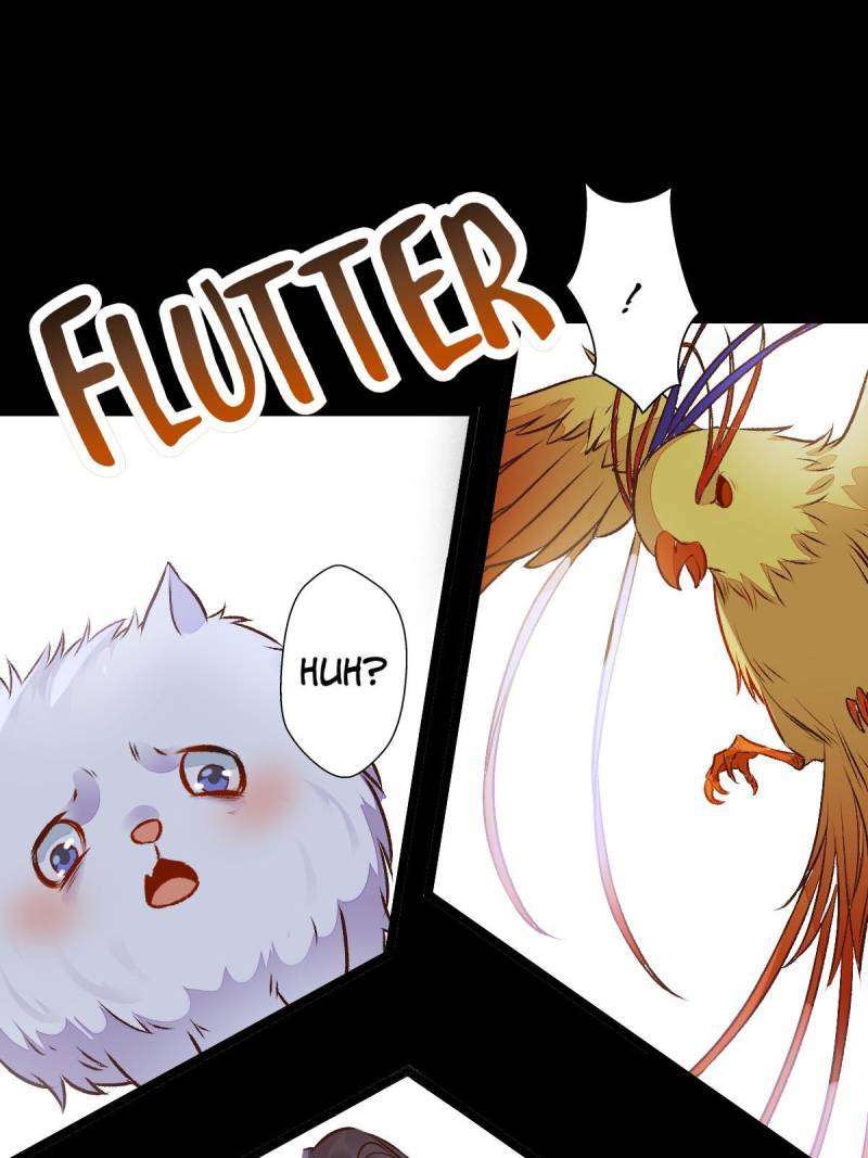 Page 31 of Chapter 503