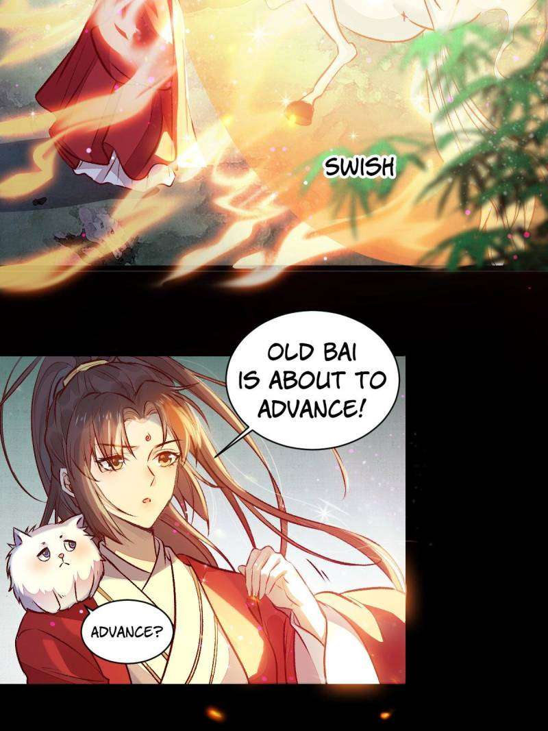 Page 5 of Chapter 504