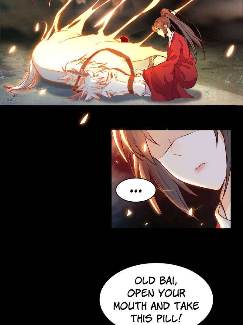 Page 14 of Chapter 504