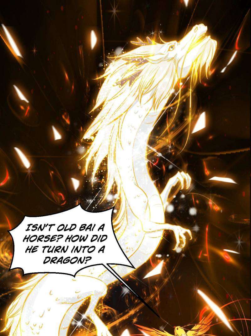 Page 24 of Chapter 504