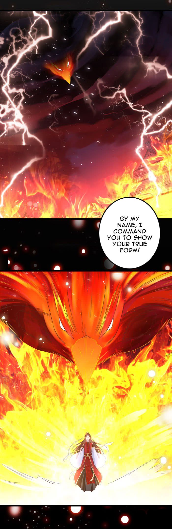 Page 11 of Chapter 51