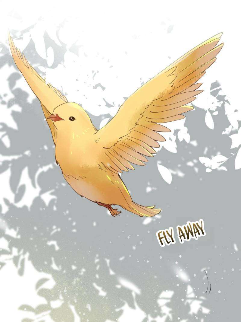 Page 28 of Chapter 536