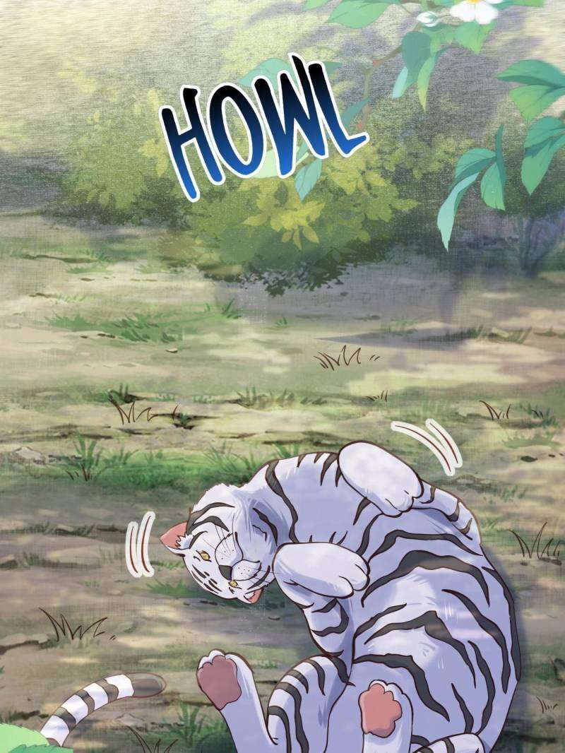 Page 47 of Chapter 537