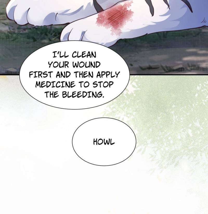 Page 12 of Chapter 538