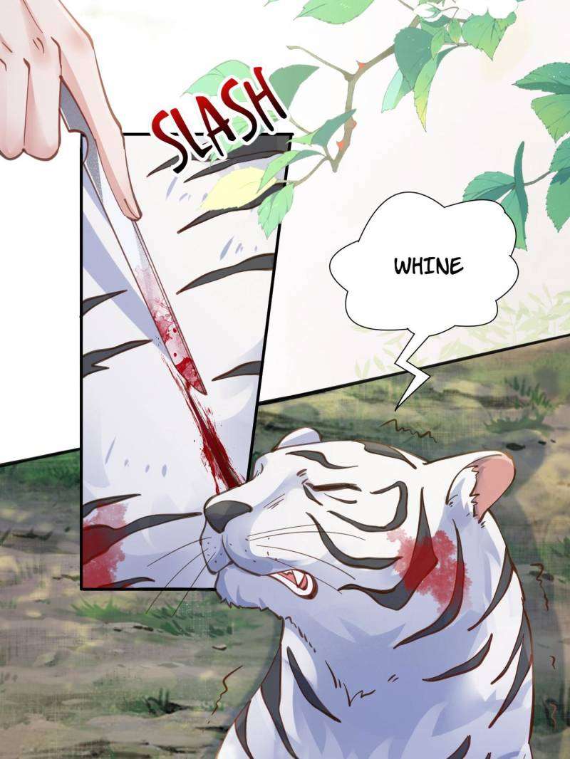 Page 17 of Chapter 538