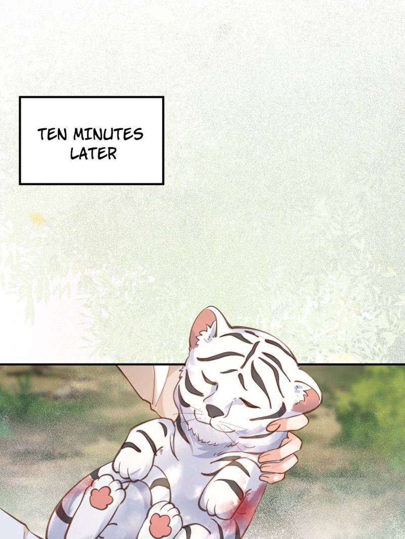 Page 19 of Chapter 538