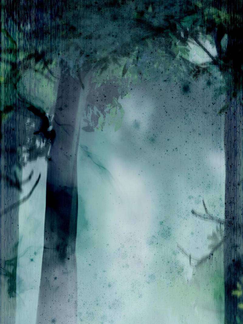 Page 3 of Chapter 559