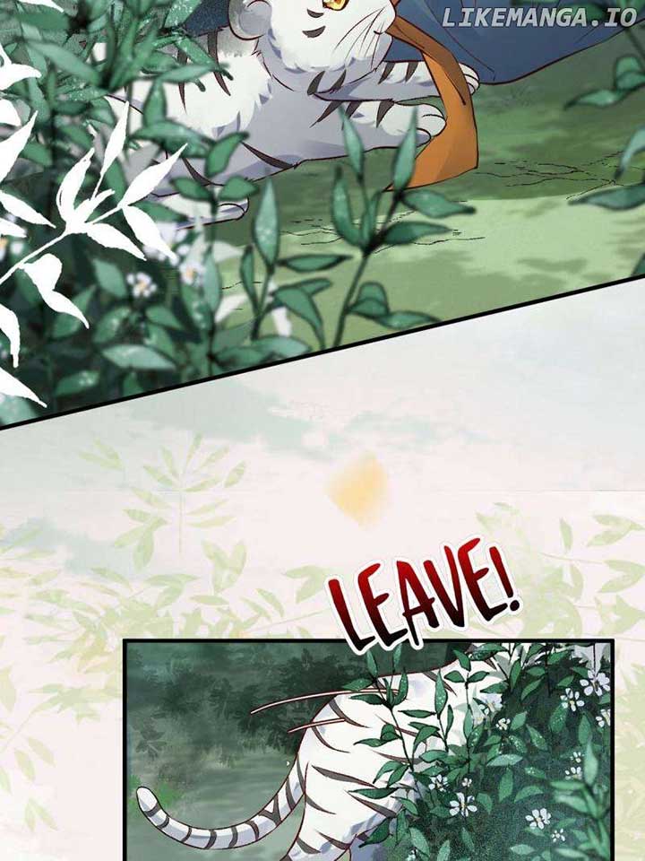 Page 11 of Chapter 593