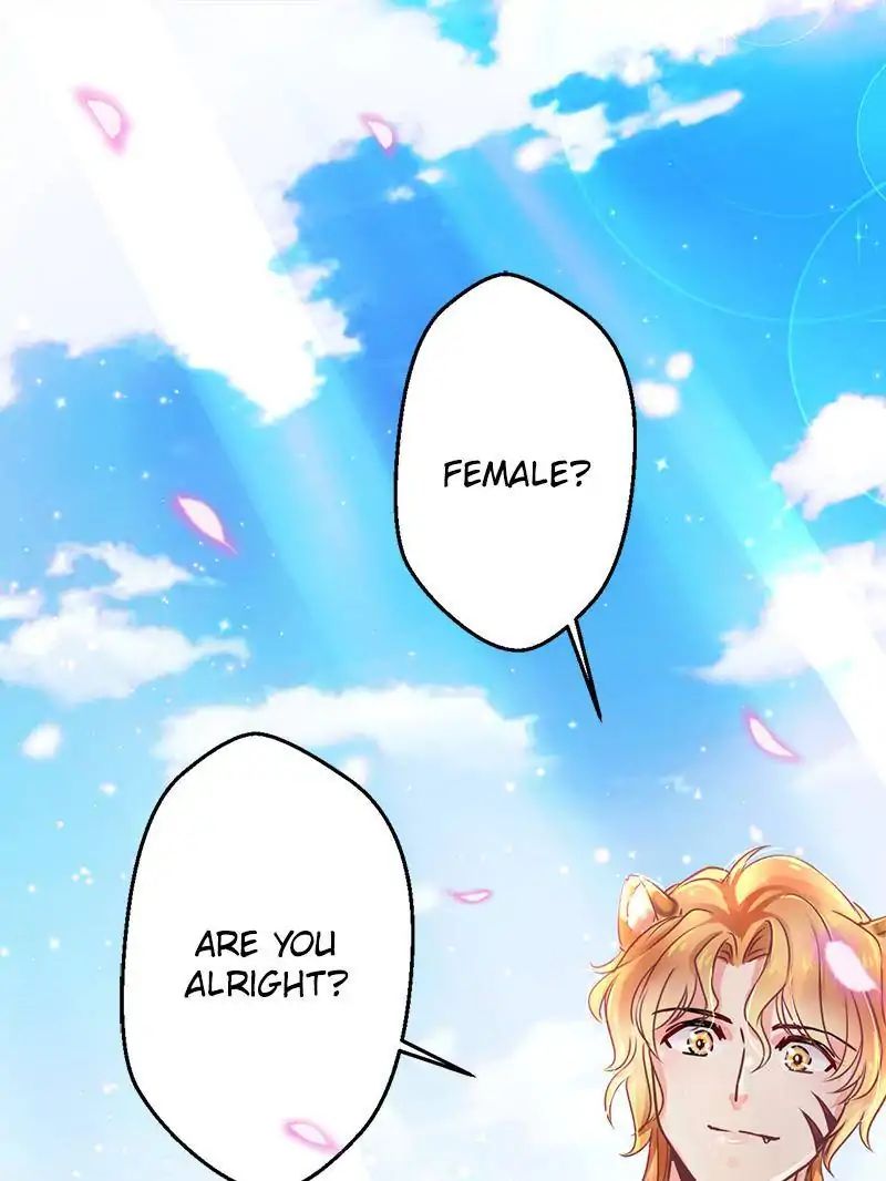 Page 49 of Chapter 1