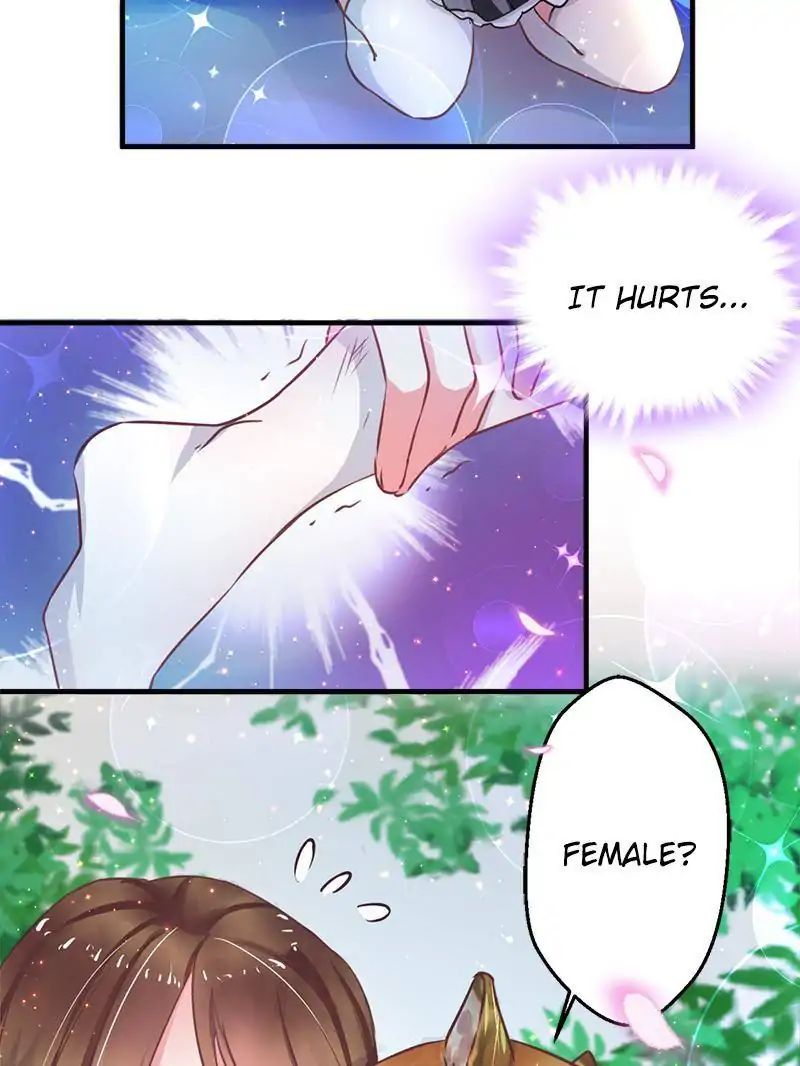 Page 52 of Chapter 1