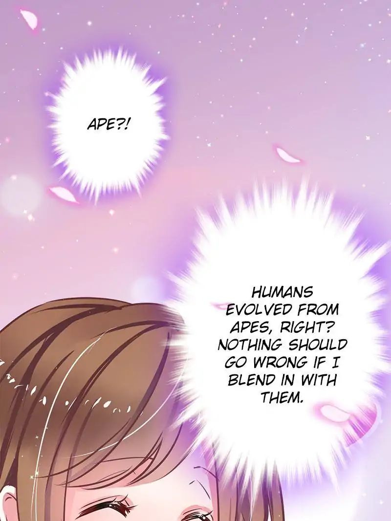 Page 62 of Chapter 1