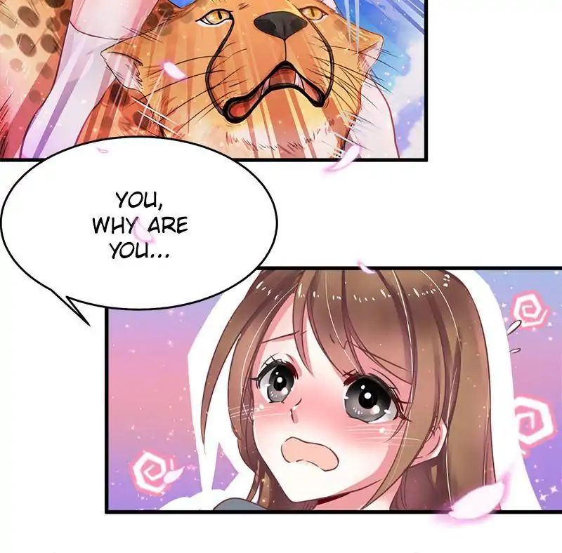 Page 71 of Chapter 1