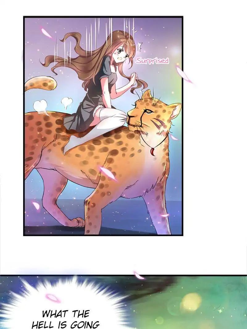 Page 72 of Chapter 1