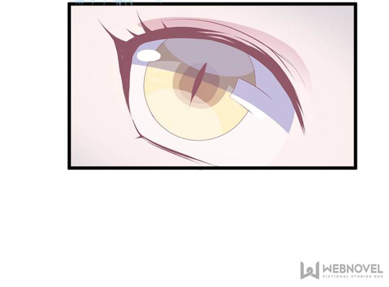 Page 4 of Chapter 102