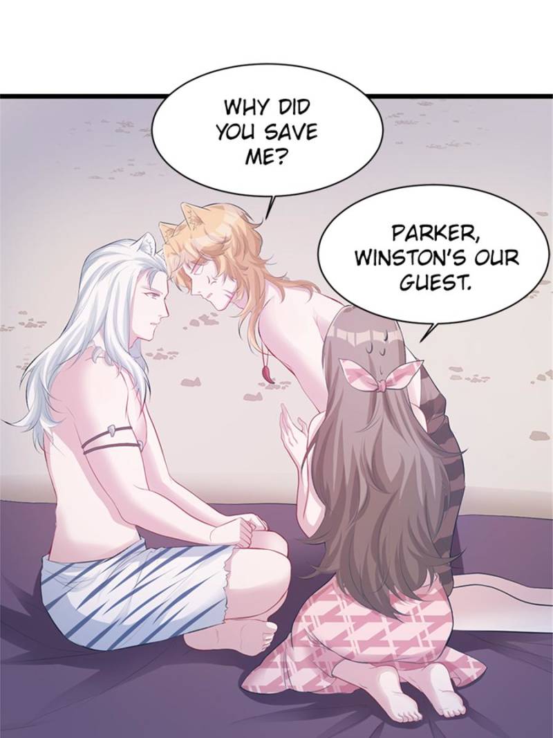 Page 42 of Chapter 102